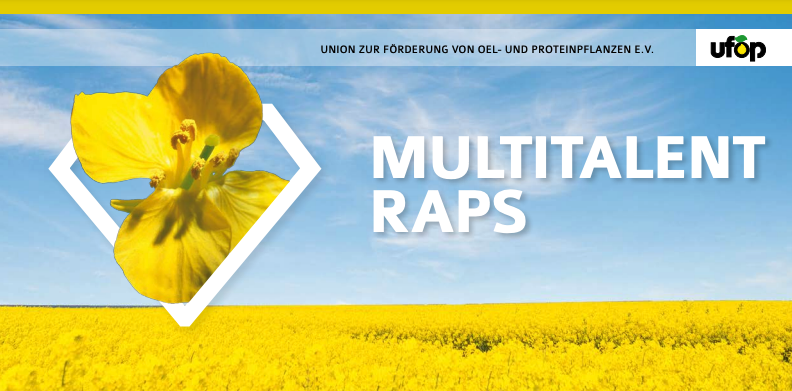 Bildschirmfoto 2025-09-03 um 11.06.45.png